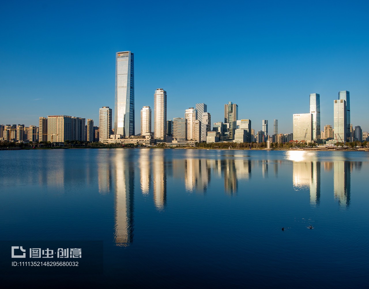晴朗早晨深圳湾后海深圳湾1号阿里中心滨海建筑城市风光