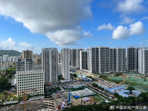 海南房地产10年 画像 那些跌倒和站立的房企