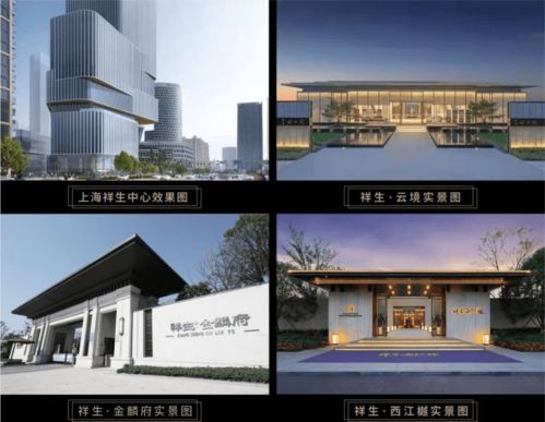 祥生地产丨中国房地产企业top26,幸福生活运营商 产品与服务