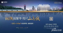 地铁2号线惊现神秘萌宠,萌值爆表