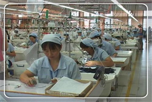 农村办加工厂,有哪些项目具备广阔的市场前景 这几个可以考察