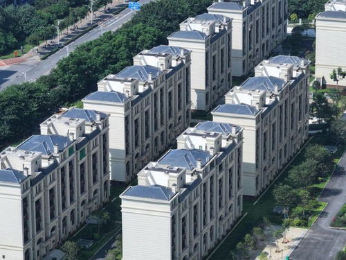 每年这时候,柳州人总会特别关注