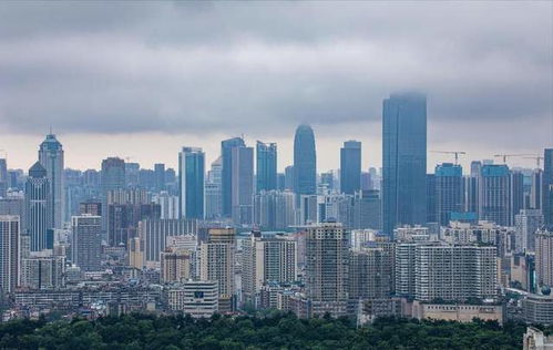 房地产再现非理性疯狂,有心人又炒作,楼市绝不能完全放开